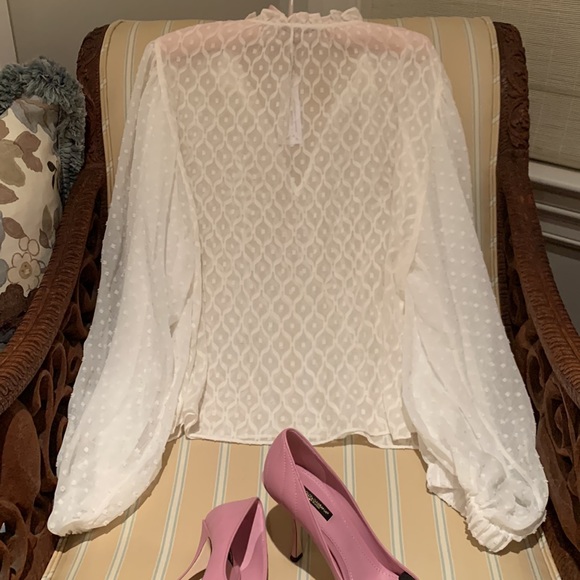 ALICE + OLIVIA JULIUS SILK BLEND BLOUSE PUFFED SLEEVES SWISS DOT DESIGN SIZE M - Picture 10 of 16